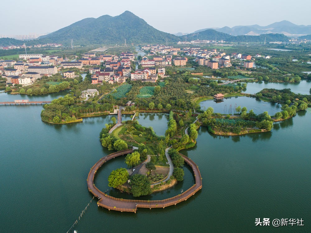 1598336932121025.jpg 1598336932121025.jpg