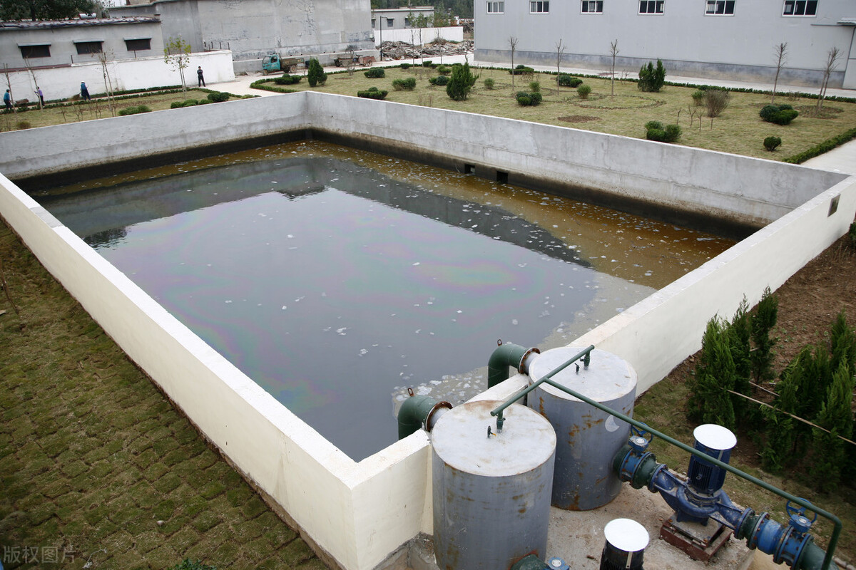 1598337886529897.jpg 1598337886529897.jpg